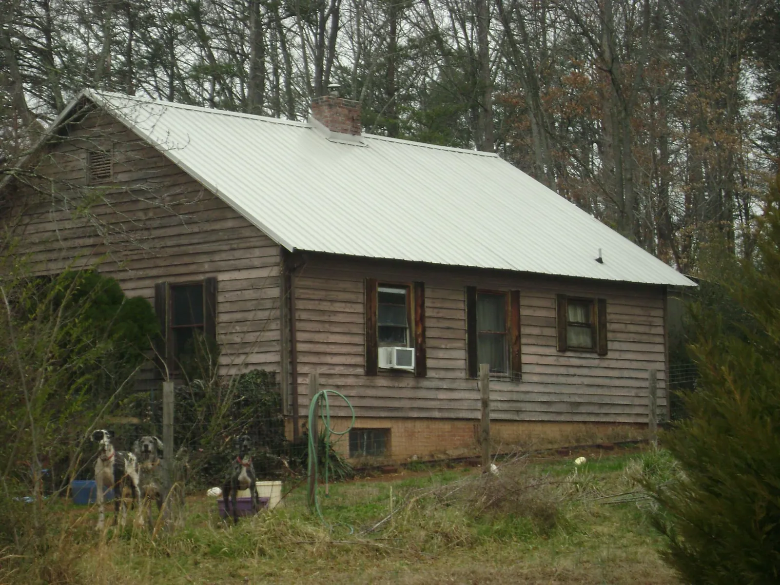White metal roof on an old wood sided farmhouse, from a Asphalt Shingle Roof Repair job in North Jackson